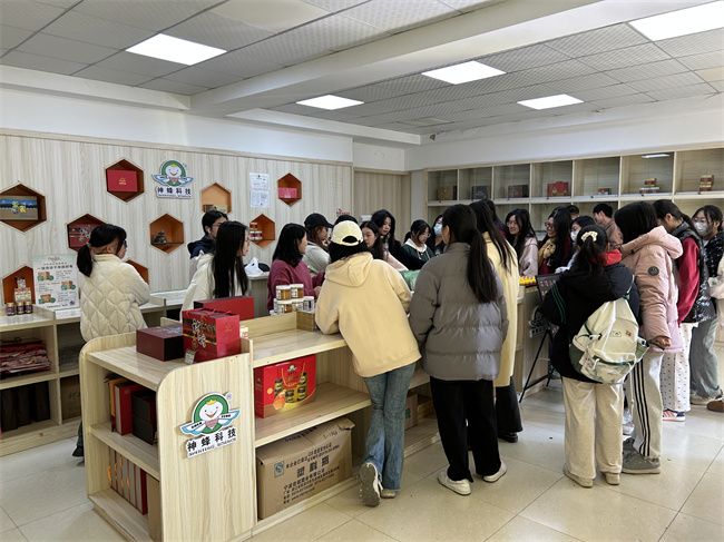 杨文2.jpg